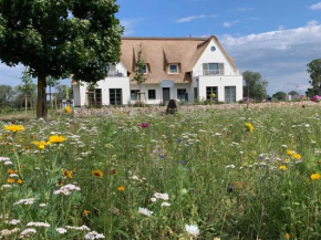 Urlaub de luxe unter Reet Haendel